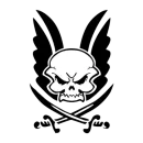 Warrior Assault Systems